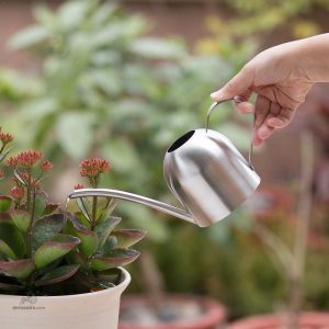 Théière élégante pour une infusion parfaite