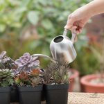 Arrosoir design en acier, idéal pour le jardin