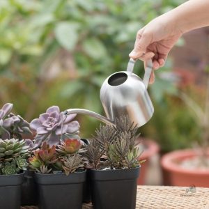 Arrosoir design en acier, idéal pour le jardin