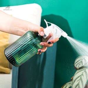 Vaporisateur 500 ml pour l'entretien des plantes
