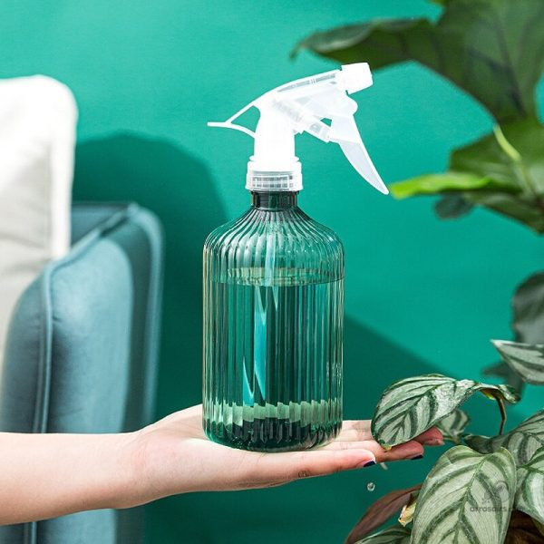 Vaporisateur de 500 ml pour arroser les végétaux