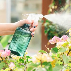 Vaporisateur 500 ml, outil essentiel pour plantes d'intérieur