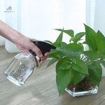 Vaporisateur 500ml idéal pour arroser vos plantes