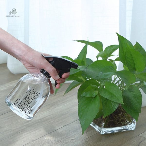 Vaporisateur 500ml idéal pour arroser vos plantes