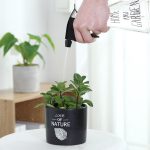 Spray d'eau 500ml pour l'entretien des végétaux