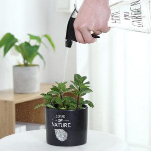 Spray d'eau 500ml pour l'entretien des végétaux