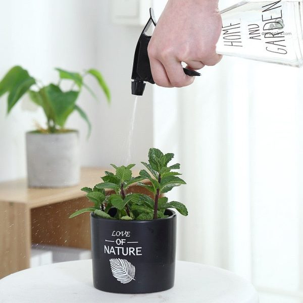Spray d'eau 500ml pour l'entretien des végétaux