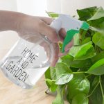 Contenant d'eau 500ml pour humidifier vos plantes