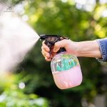 Mister pour plantes d'intérieur, idéal pour cactus