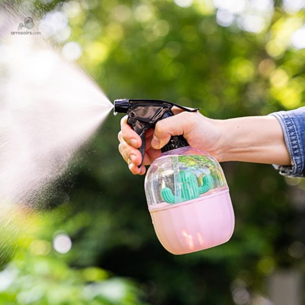 Mister pour plantes d'intérieur, idéal pour cactus