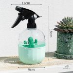 Vaporisateur à main pour arroser les succulentes facilement