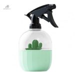 Accessoire de jardin : vaporisateur pour cactus et succulentes