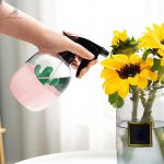 Vaporisateur compact pour arroser délicatement les cactus