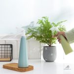 Vaporisateur pratique pour arrosage de plantes d'intérieur
