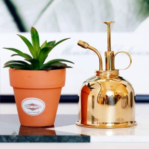 Vaporisateur Doré pour Plantes