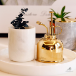Vaporisateur Laiton pour Arrosage