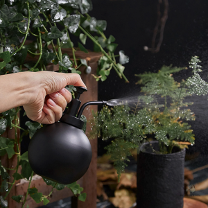 Design moderne du vaporisateur noir pour plantes