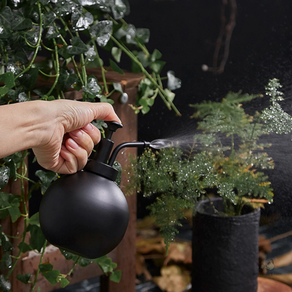 Design moderne du vaporisateur noir pour plantes