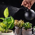 Vaporisateur noir pour un usage quotidien