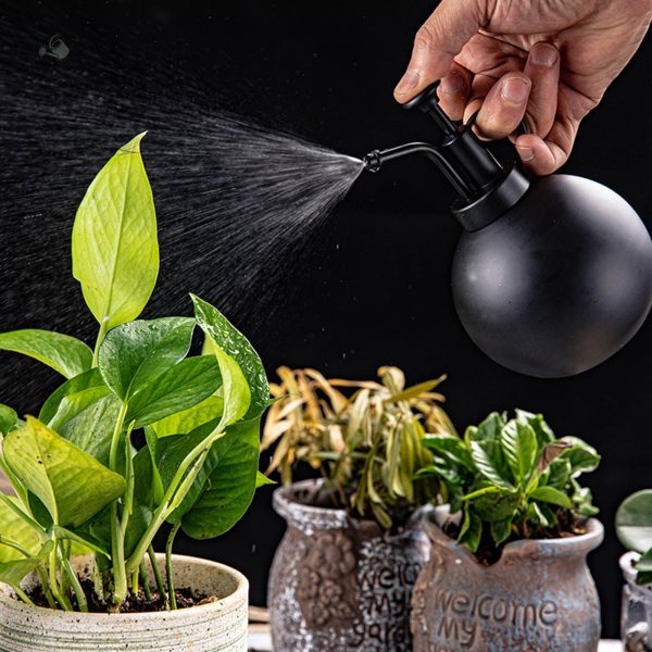 Vaporisateur noir pour un usage quotidien