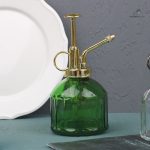 Vaporisateur de plantes en verre, élégant et pratique