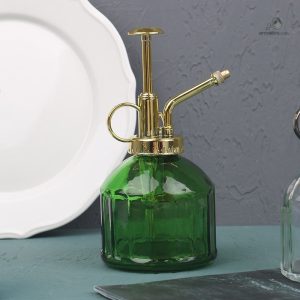 Vaporisateur de plantes en verre, élégant et pratique