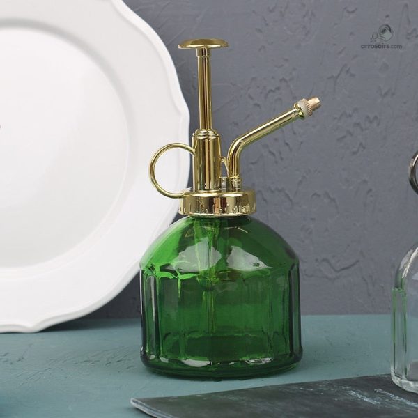 Vaporisateur de plantes en verre, élégant et pratique