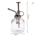 Vaporisateur verre pour le soin des plantes d'intérieur
