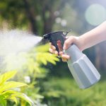 Vaporisateur élégant pour brumiser vos plantes d'intérieur