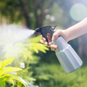 Vaporisateur élégant pour brumiser vos plantes d'intérieur