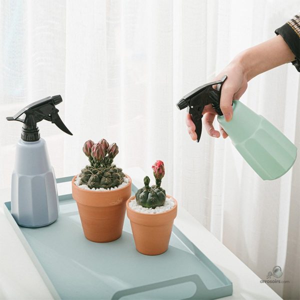 Vaporisateur léger pour arroser les plantes d'intérieur facilement