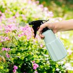 Vaporisateur design pour l'humidité des plantes d'intérieur