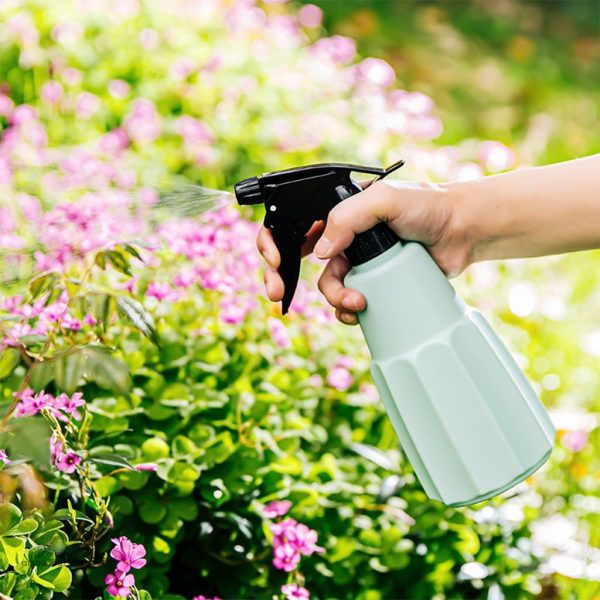 Vaporisateur design pour l'humidité des plantes d'intérieur