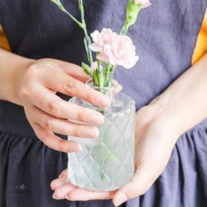 Vase en verre transparent, idéal pour une fleur seule