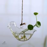Vase hydroponique pour arrosage automatique des plantes
