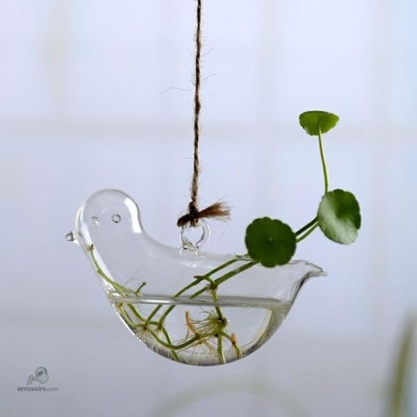 vase-hydroponique-1 Vase hydroponique pour arrosage automatique des plantes