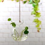 Vase adapté à la culture hydroponique, idéal pour intérieur