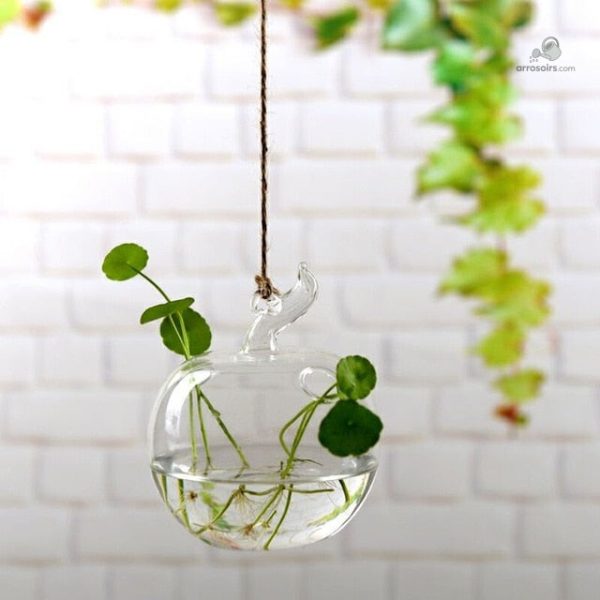 Vase adapté à la culture hydroponique, idéal pour intérieur