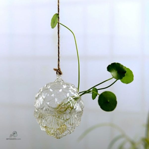 Vase fonctionnel pour l'arrosage automatique des plantes