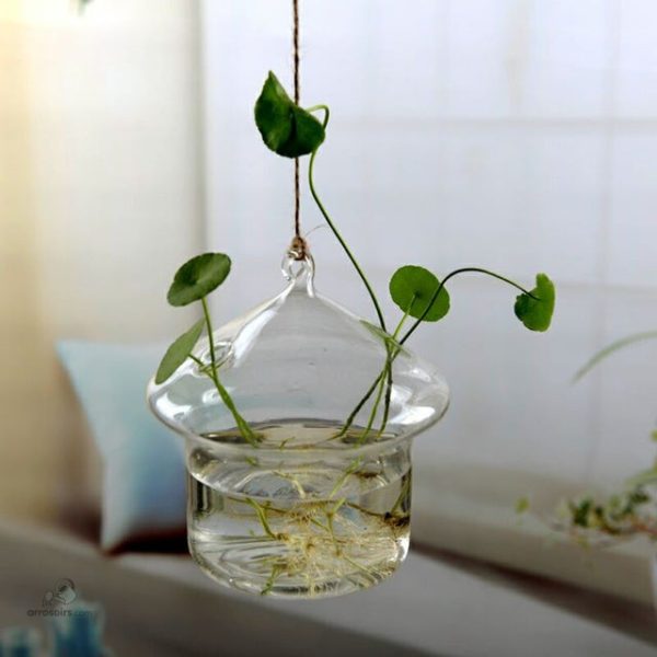 Vase innovant pour entretien facile des plantes en hydroponie