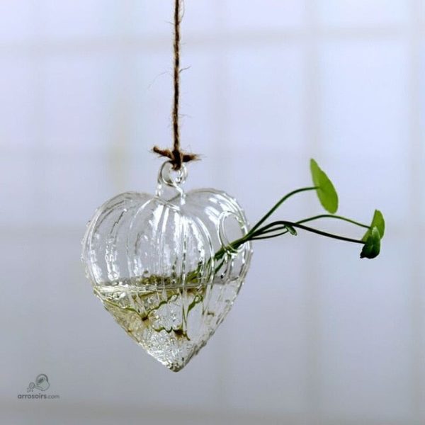 Vase hydroponique moderne pour un arrosage sans effort