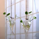 Pot intelligent pour culture hydroponique de plantes d'intérieur