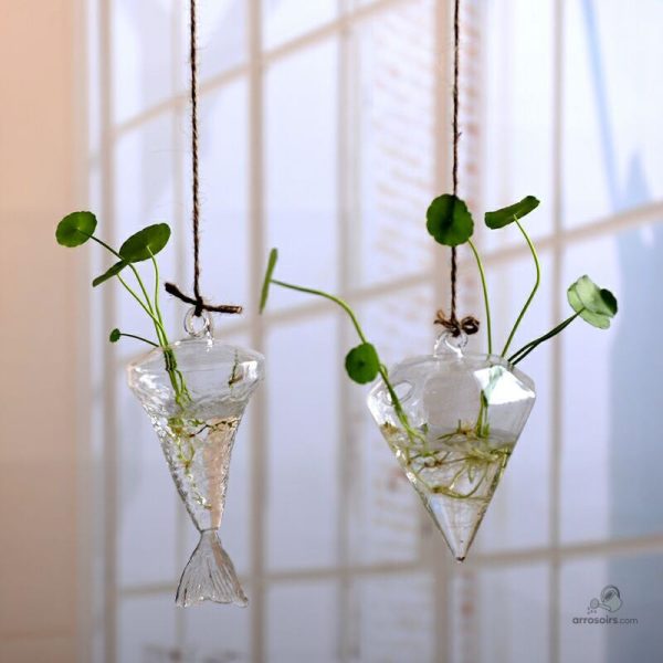 Pot intelligent pour culture hydroponique de plantes d'intérieur