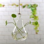 Vase d'arrosage automatique adapté aux plantes hydroponiques