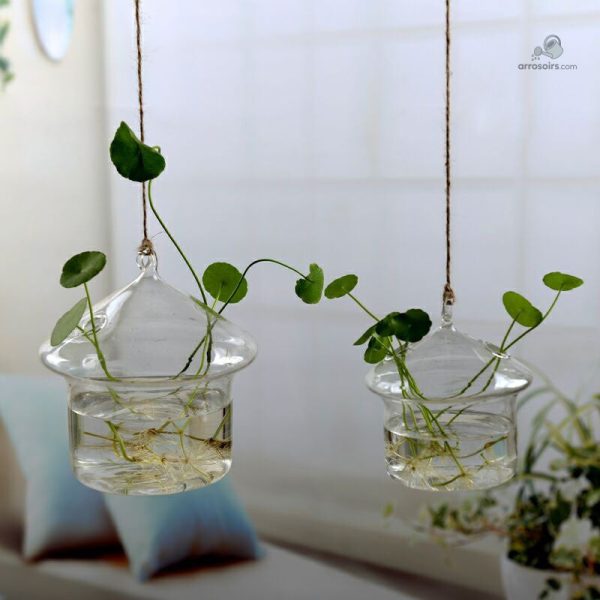 Solution hydroponique élégante pour un jardin intérieur