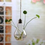 Vase pratique pour l'hydroponie avec arrosage automatisé