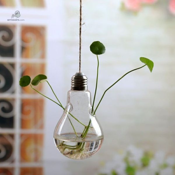 Vase pratique pour l'hydroponie avec arrosage automatisé